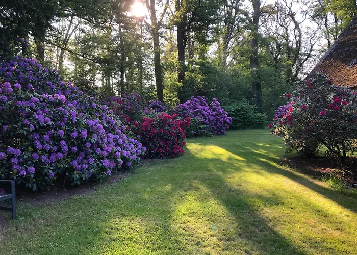 Unter Den Eichen Stade